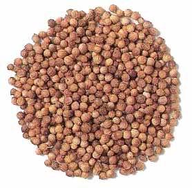 Coriander Seeds