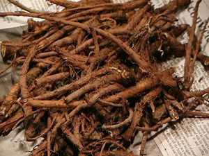 Danelion Root