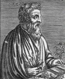 Dioscorides