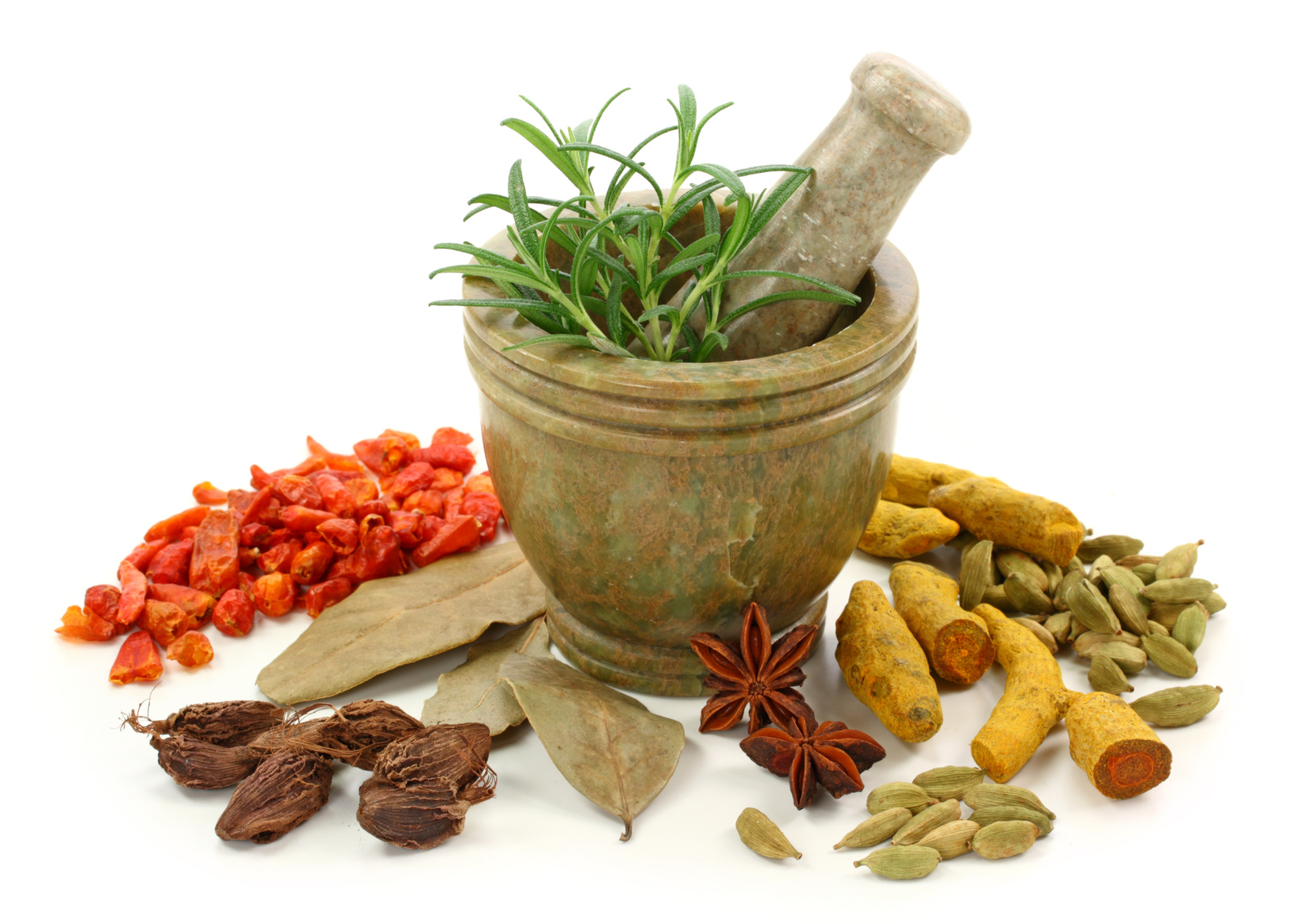Medicinal Herbs